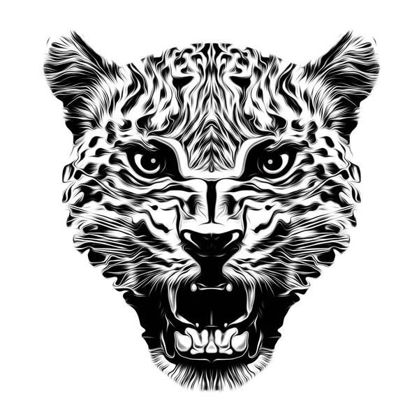 Monochrome Artistic Leopard Muzzle Isolated White Background — Stock Photo, Image