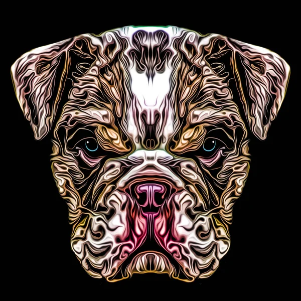 Farbige Künstlerische Bulldogge Auf Schwarzem Hintergrund — Stockfoto