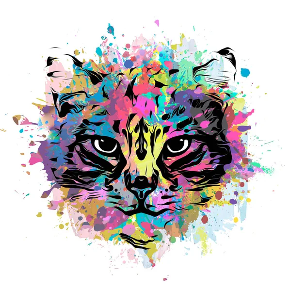 Grafiti Boyalı Kedi Ile Grunge Arkaplan — Stok fotoğraf