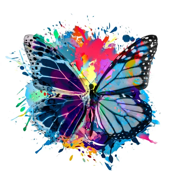 Abstract Colored Butterfly White Background — Stock Photo, Image