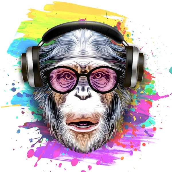 Barevné Umělecké Opice Brýlích Barevnými Skvrnami Barvy Bílém Pozadí — Stock fotografie