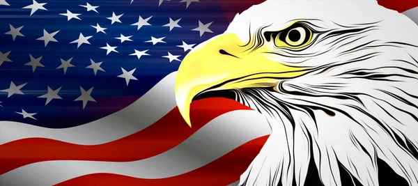 Orel Tvář Izolované Pozadí Vlajky Usa — Stock fotografie