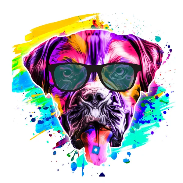 Abstract Gekleurde Artistieke Hond Grafisch Ontwerp Concept — Stockfoto