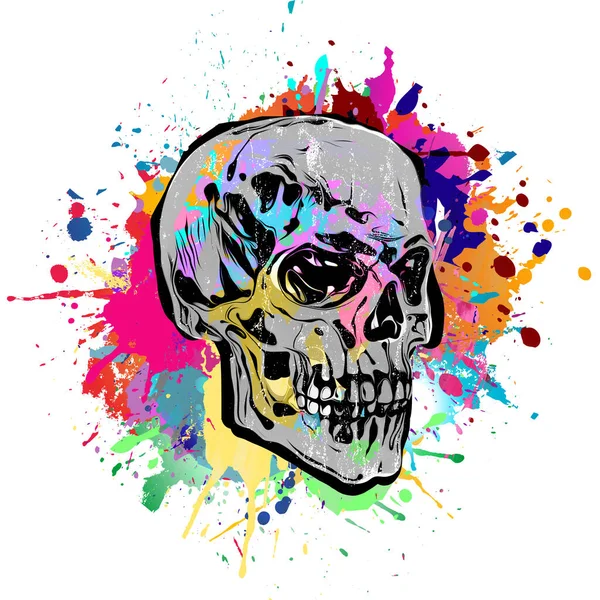 Calavera Artística Color Abstracto Concepto Diseño Gráfico Arte Colorido Brillante — Foto de Stock