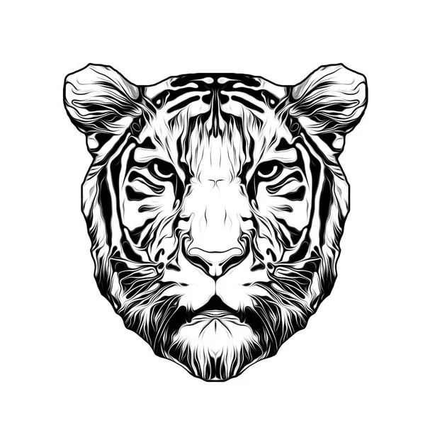 Monocromático Tigre Artístico Focinho Isolado Sobre Fundo Branco — Fotografia de Stock
