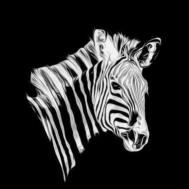 Koyu arkaplanda tek renkli sanatsal zebra