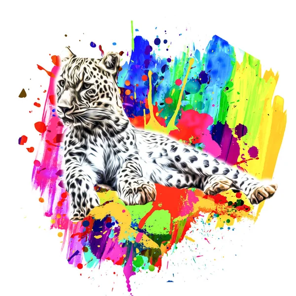 Леопард Творчим Барвистим Абстрактним Елементом Фоні — стокове фото