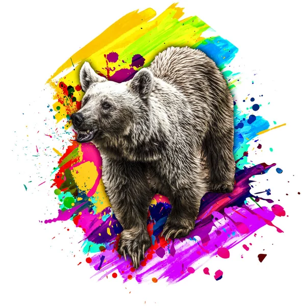 Bear Creative Colorful Abstract Element Background — Stock Photo, Image