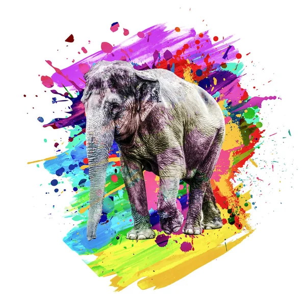Elefant Mit Kreativem Abstrakten Element Auf Hintergrund — Stockfoto