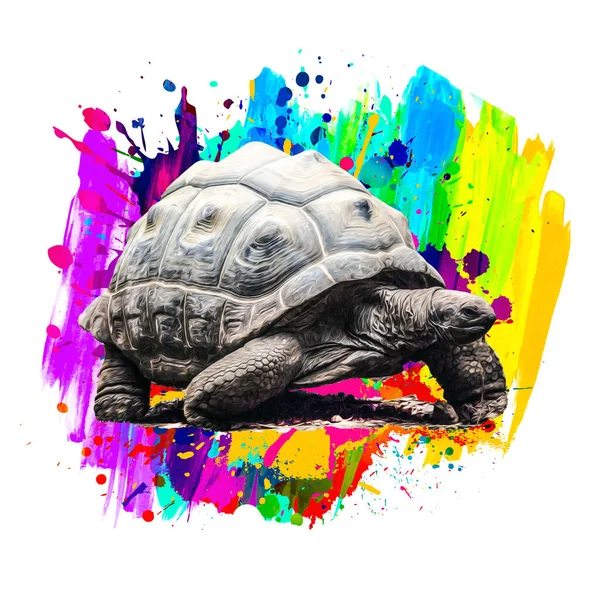 Schildkröte Mit Kreativem Abstrakten Element Auf Hintergrund — Stockfoto