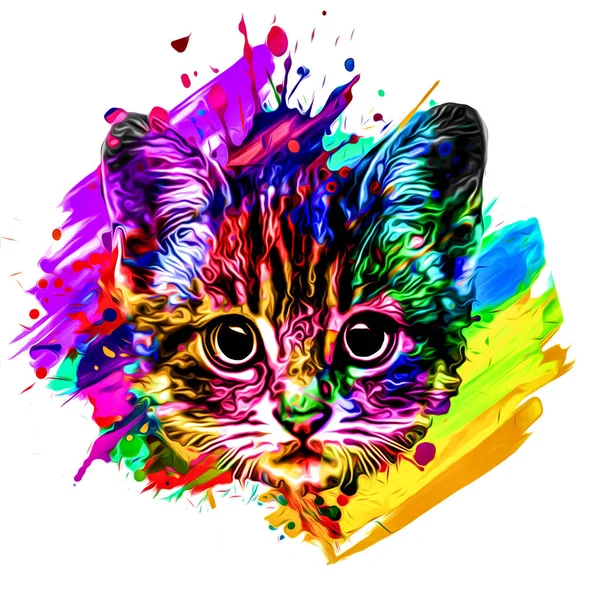 Abstract Colorful Cat Muzzle Illustration Graphic Design Concept — Stock Photo, Image