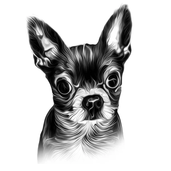 Black White Dog Head Illustration White Background — Stock Photo, Image