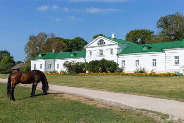 Volkonsky Evi, Yasnaya Polyana Sitesi, Tula Oblastı, Rusya. 01 Eylül 2020. Büyük Rus yazar Lev Tolstoy 'un evi. Beyaz, antik, yeşil çatılı Volkonsky Evi 'nin önünde otlayan bir at. 