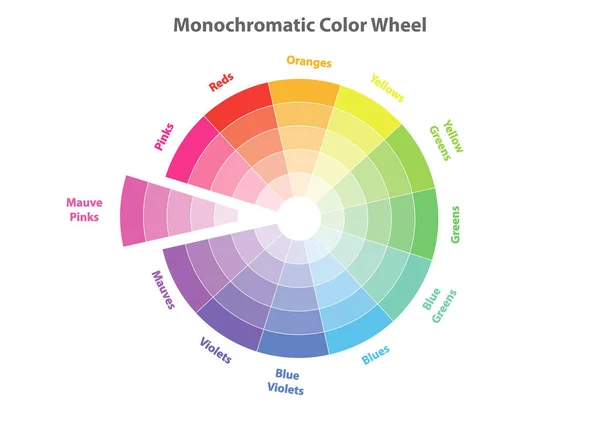 単色カラー ホイール カラー スキーム理論 証拠に 藤色のピンク色ベクトル分離または白の背景 — ストックベクタ