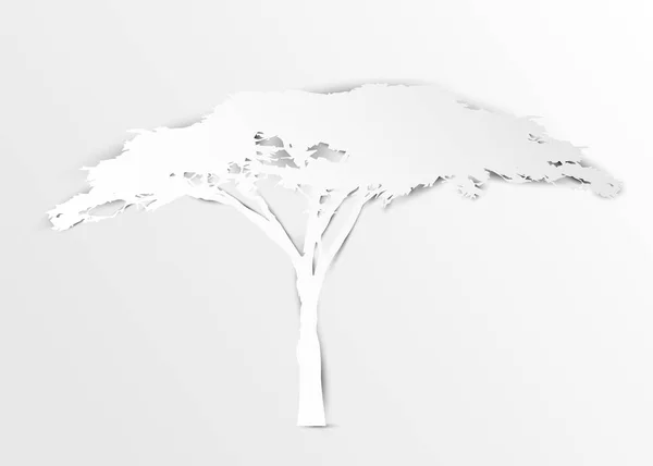 紙でアカシアの木は アート スタイルまたはデジタル クラフト ベクトル図の白い色を切り取ります アフリカの木のアイコン アカシアの木のシルエット ベクターは 白で隔離 — ストックベクタ