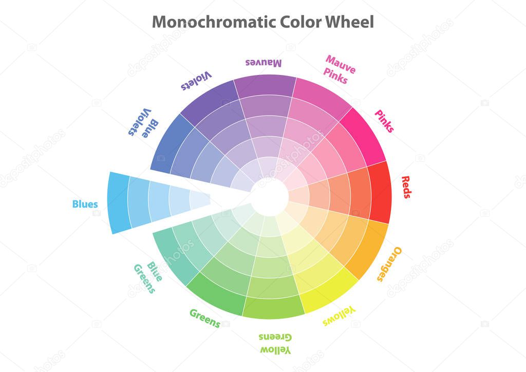 monochromatic color wheel, color scheme theory, blues color in evidence, vector isolated or white background