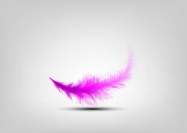 Single Pink Feather Vector Isolated Grey Background Levitation Plume Lightness — Stock Vector