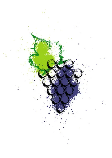 Vector Illustration Colorful Grapes Vine Icon Abstract Splash Style Watercolor — Stock Vector