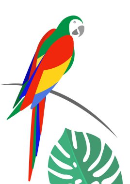 logo fikir tasarım vektör illüstrasyon izole papağan ya da arka plan beyaz 