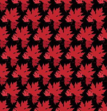 sonbahar arka plan güzel yaprakları ile çizilmiş. Dikişsiz desen doku. Kırmızı akçaağaç yaprağı, vektör izole veya siyah arka plan