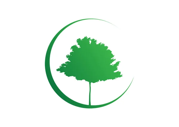 Силуэт Иконок Кленового Дерева Дизайн Экологически Чистой Органической Фермы Биологическая — стоковый вектор