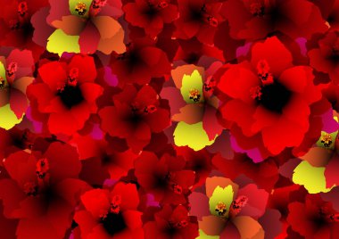 kırmızı çiçekler, çiçek açan Hibiscus çiçek, botanik yazdırma Vintage Tekstil koleksiyon arka plan, moda yazdırma, kumaş deseni için tekstil desen için büyük çiçekler çiçek desenli halı. Çiçek parfüm kavramı