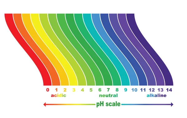 Scale of ph value for acid and alkaline solutions, vector isolated or white background — Stock Vector