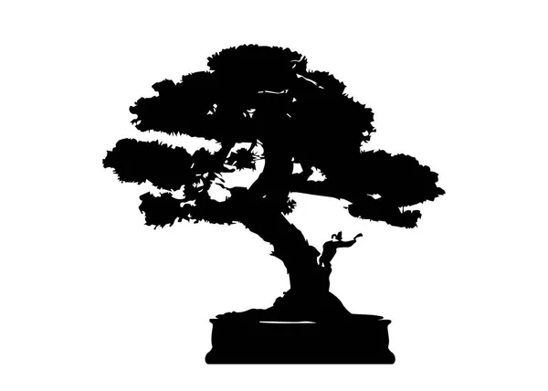 Árbol Bonsái Japonés Iconos Silueta Planta Sobre Fondo Blanco Silueta — Vector de stock