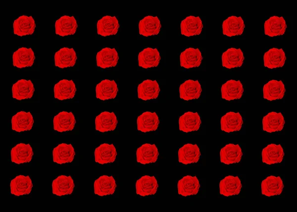 Троянди Червоні Квіти Візерунок Текстури Чорному Тлі Щасливі Матері День — стоковий вектор