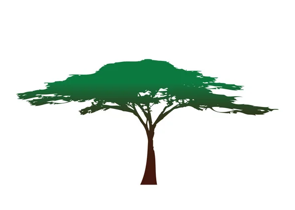 Icono de árbol africano, silueta de árbol de acacia, vector colorido aislado — Vector de stock