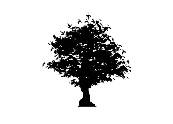 Vector silueta árbol de arce icono aislado sobre fondo blanco. Acer Palmatum, Deshojo, árbol de bonsái de arce japonés. Arce japonés enano princesa escarlata en color blanco y negro — Vector de stock