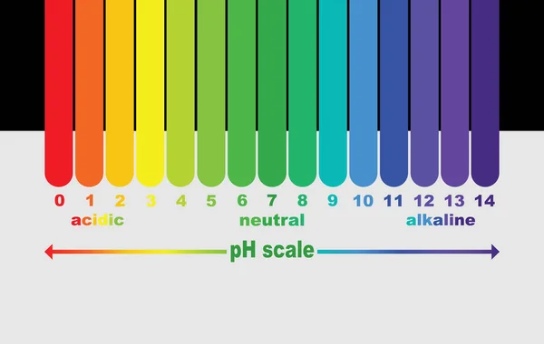 Scala di valore ph per soluzioni acide e alcaline, equilibrio acido-base infografico. scala per analisi chimica base acida. illustrazione vettoriale isolato o sfondo bianco e nero — Vettoriale Stock