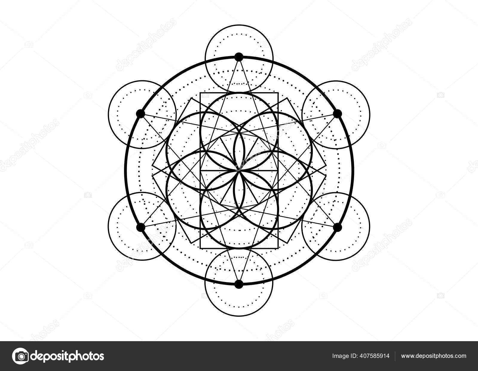 生命の種のシンボル神聖な幾何学の入れ墨 錬金術の幾何学的な神秘的な曼荼羅生命の花 白の背景に隔離された黒ベクトル神瞑想のお守り ストックベクター  ©robin_ph 407585914, image size:1600x1243