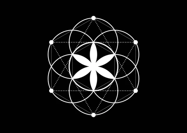 生命のシンボルの種神聖な幾何学 ロゴアイコン錬金術の幾何学的神秘的な曼荼羅生命の花 黒の背景に隔離されたベクトルホワイトタトゥー神瞑想のお守り — ストックベクタ