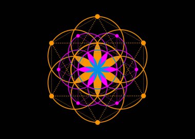 Yaşam sembolü Kutsal Geometri. Simya 'nın gizemli hayat çiçeğinin geometrik mistik mandala' sı. Renkli moda vektörü. İlahi meditasyon tılsımı. Siyah arka planda izole edilmiş.