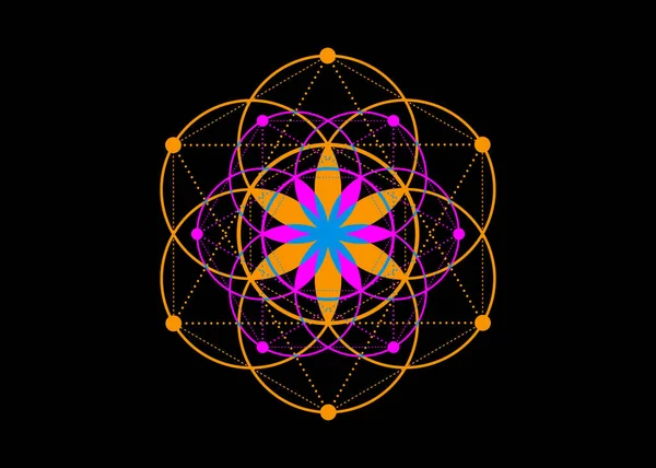 Seed of life symbol Sacred Geometry. Geometric mystic mandala of alchemy esoteric Flower of Life. Colorful fashion vector divine meditative amulet isolated on black background