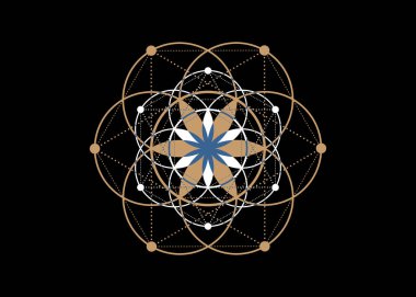 Yaşam sembolü Kutsal Geometri. Simya 'nın gizemli hayat çiçeğinin geometrik mistik mandala' sı. Renkli moda vektörü. İlahi meditasyon tılsımı. Siyah arka planda izole edilmiş.