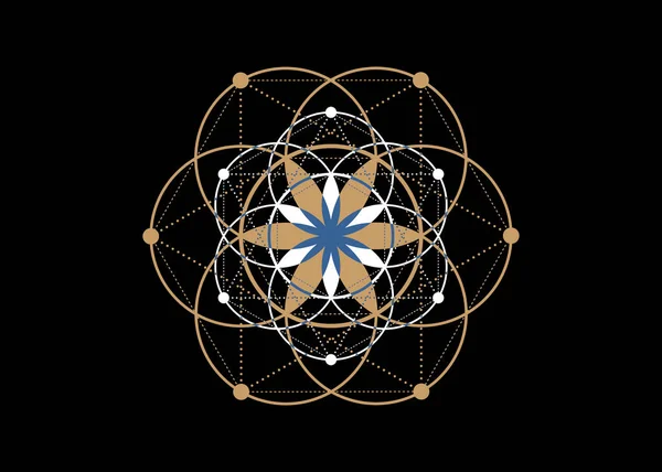 Saatgut Des Lebens Symbol Der Heiligen Geometrie Geometrisches Mystisches Mandala — Stockvektor