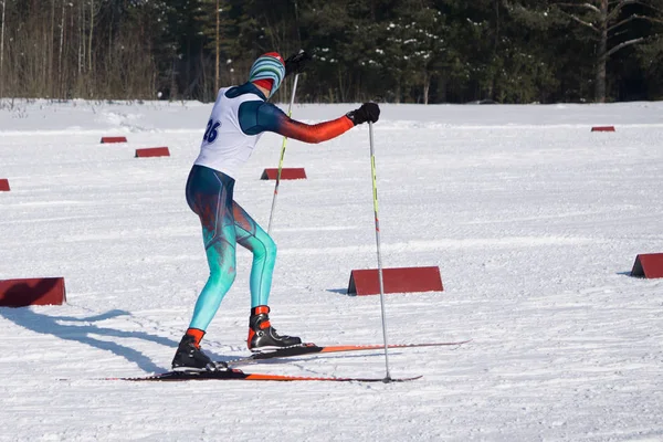 Deporte Invierno Esquiador Bosque Esquí Esquiador Bosque — Foto de Stock