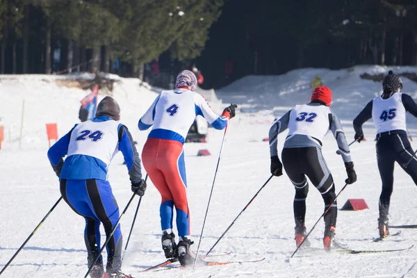 Två Längdskidspår Löpare Framför Vinterlandskapet — Stockfoto