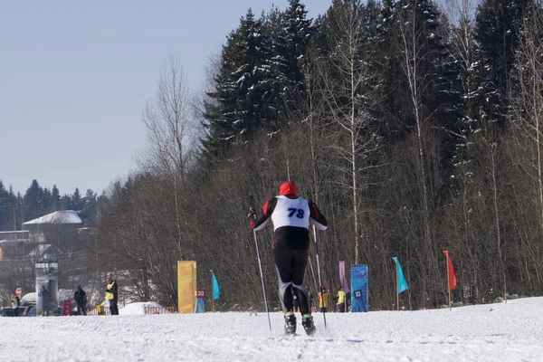 Sciatore Maschile Uomini Atletici Nella Foresta Invernale Stile Libero Durante — Foto Stock