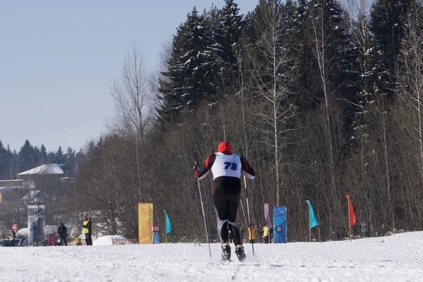 Homens Atléticos Esquiador Masculino Floresta Inverno Estilo Livre Durante Corrida — Fotografia de Stock