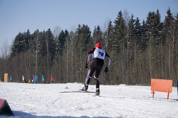 Dünya Kupası Serbest Stil Kayak Sırasında Hız Testi Gerçekleştirir — Stok fotoğraf