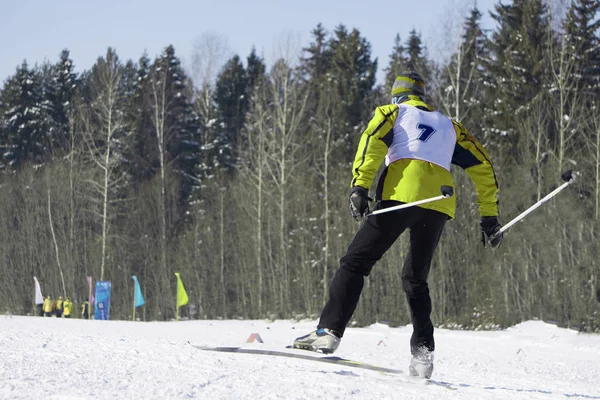 Retrato Comprimento Total Uma Esquiadora Com Uma Perna Levantada Uma — Fotografia de Stock