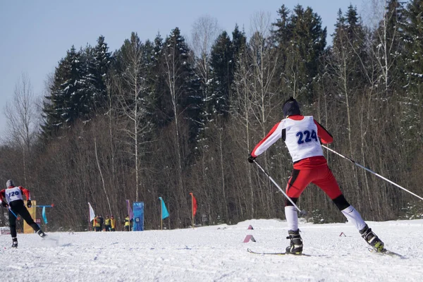 Dos Esquiadores Fondo Una Ventisca Helada Tiempos Nieve —  Fotos de Stock
