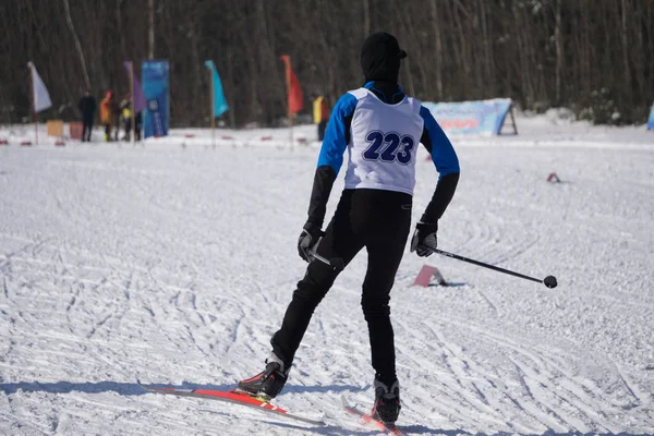 Grupo Familiar Esquiadores Cross Country Uma Manhã Ensolarada Inverno — Fotografia de Stock