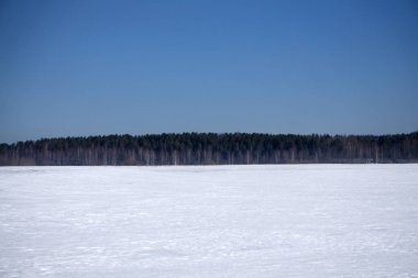 Ağaç içinde kar karlı orman ve gökyüzü bir arka plan ön planda