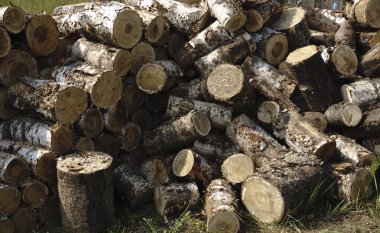 Kış yangın için kıyılmış günlükleri