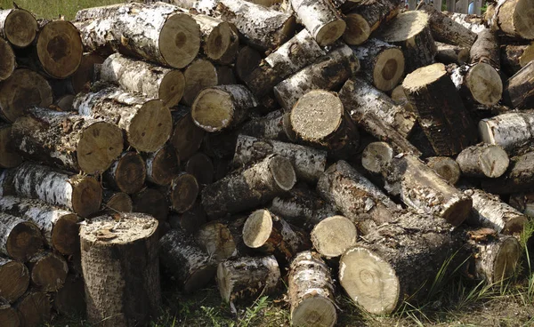 Kış yangın için kıyılmış günlükleri