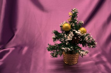 Beyaz arka planda izole edilmiş güzel noel ağacı - stüdyo çekimi